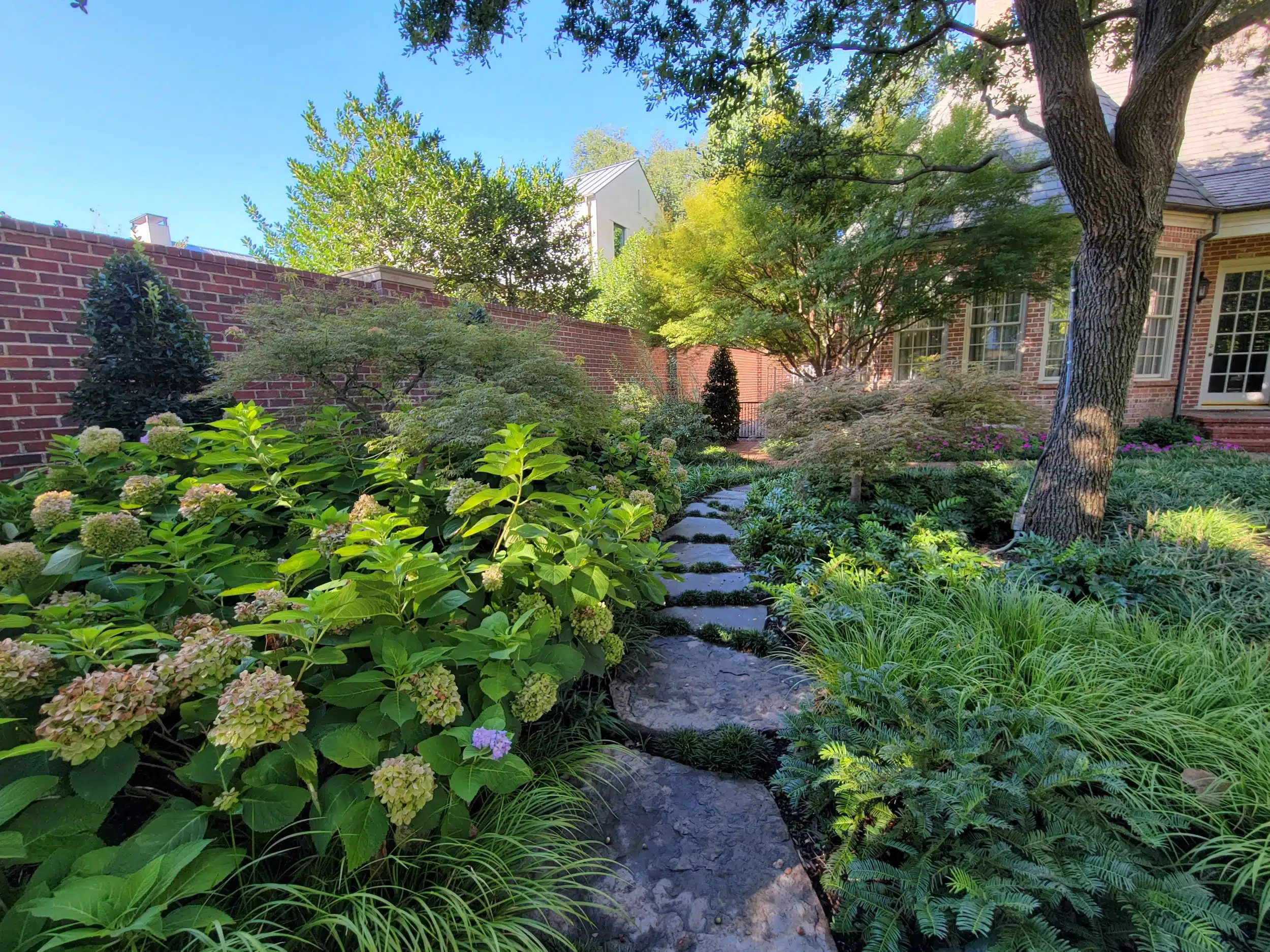 Landscape Design Benbrook